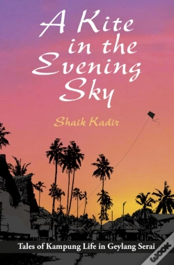 Capa do artigo A Kite In The Evening Sky