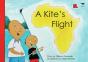 A Kite'S Flight - Preview