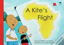 Capa do artigo A Kite'S Flight