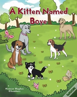 Capa do artigo A Kitten Named Boye