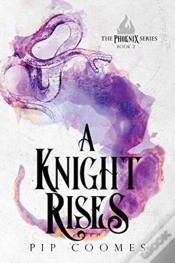 Capa do artigo A Knight Rises