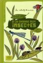 À La Chasse Aux Insectes ! - Preview