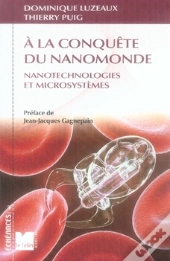 À La Conquête Du Nanomonde ; Nanotechnologies Et Microsystèmes