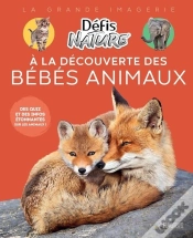 Capa do artigo A La Découverte Des Bébés Animaux