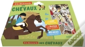 À La Découverte Des Chevaux