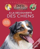 A La Découverte Des Chiens