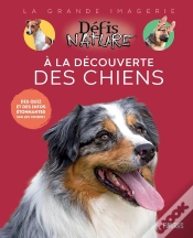 Capa do artigo A La Découverte Des Chiens