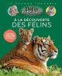 A La Découverte Des Félins - Preview