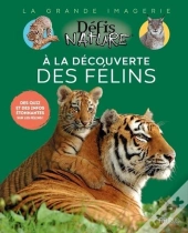 A La Découverte Des Félins