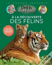 Capa do artigo A La Découverte Des Félins