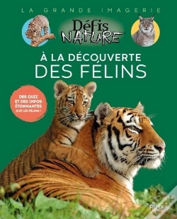 Capa do artigo A La Découverte Des Félins