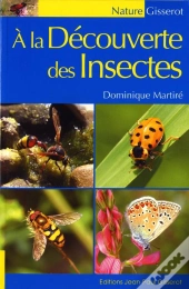 A La Decouverte Des Insectes