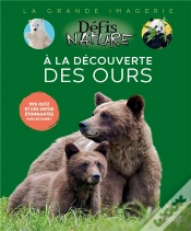 Capa do artigo A La Découverte Des Ours