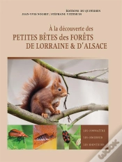 Capa do artigo À La Découverte Des Petites Bêtes Des Forêts De Lorraine Et D