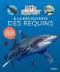 A La Découverte Des Requins - Preview