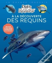 A La Découverte Des Requins