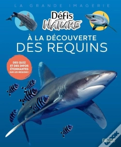 Capa do artigo A La Découverte Des Requins