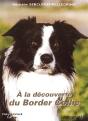 À La Découverte Du Border Collie - Preview
