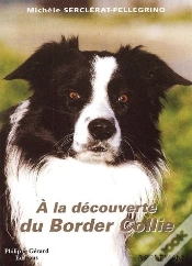 Capa do artigo À La Découverte Du Border Collie