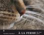 À La Ferme De Tout Près - Preview