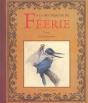 À La Recherche De Féérie T.1 ; La Révélation - Preview