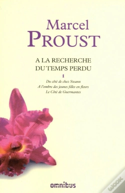 Capa do artigo À La Recherche Du Temps Perdu : Intégrale Vol.1 : Tomes 1 À 3