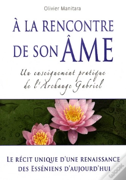 Capa do artigo À La Rencontre De Son Âme ; Un Enseignement Pratique De L'Archange Gabriel