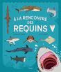 À La Rencontre Des Requins - Preview