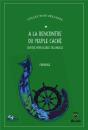 A La Rencontre Du Peuple Cache. Contes Populaires Irlandais - Preview