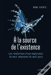 A La Source De L'Existence - Les Revelations D'Une Experience De Mort Imminente De 9 Jours