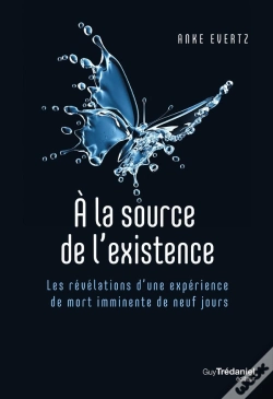 Capa do artigo A La Source De L'Existence - Les Revelations D'Une Experience De Mort Imminente De 9 Jours