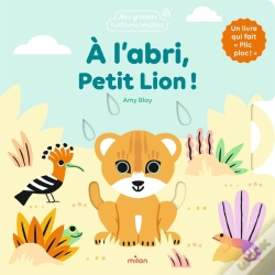 Capa do artigo À L'Abri, Petit Lion !