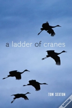 Capa do artigo A Ladder Of Cranes