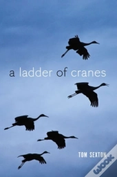 A Ladder Of Cranes