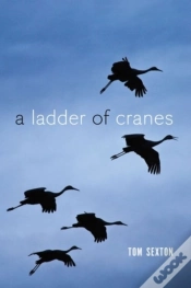 Capa do artigo A Ladder Of Cranes