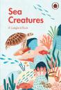 A Ladybird Book: Sea Creatures - Preview