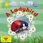 A Ladybird - Preview