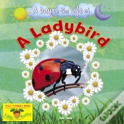 Capa do artigo A Ladybird