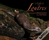 À L'Affut Des Loutres