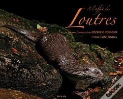 Capa do artigo À L'Affut Des Loutres