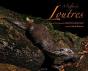 À L'Affut Des Loutres - Preview