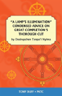 A Lamp'S Illumination Condensed Advice On Great Completion'S Thorough Cut - Preview