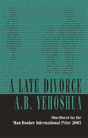 A Late Divorce - Preview