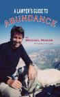 A Lawyer'S Guide To Abundance - Preview