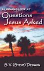 A Layman'S Look At Questions Jesus Asked - Preview