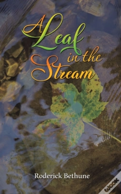 Capa do artigo A Leaf In The Stream