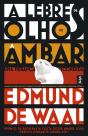 A lebre de olhos de âmbar - Preview