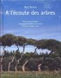 À L'Écoute Des Arbres - Preview