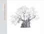A Legacy Of Ancient Oaks - Preview