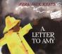 A Letter To Amy - Preview